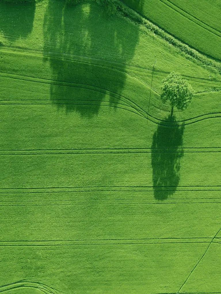 Widok zielonych pól z lotu ptaka